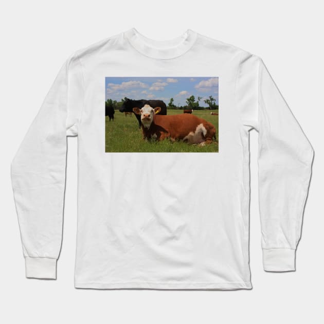 Kansas Country Cow's in a Pasture Long Sleeve T-Shirt by ROBERTDBROZEK